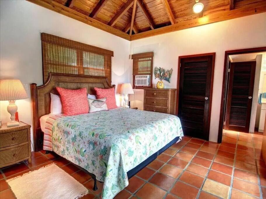 Cielo Vista Villa 3 Bdrm Sleeps 6 Heavenly ViewCruz Bay エクステリア 写真