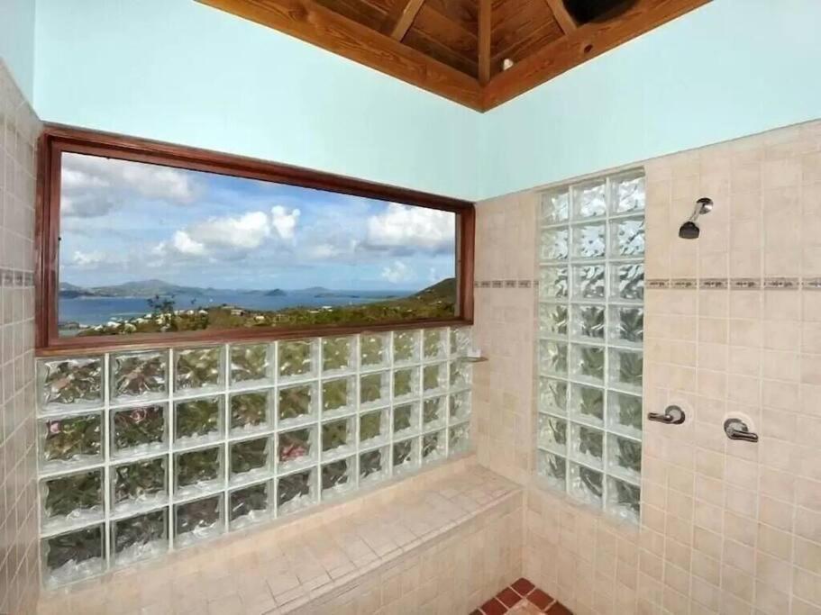 Cielo Vista Villa 3 Bdrm Sleeps 6 Heavenly ViewCruz Bay エクステリア 写真