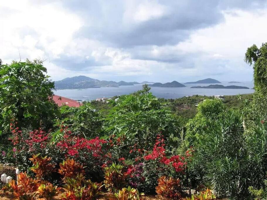 Cielo Vista Villa 3 Bdrm Sleeps 6 Heavenly ViewCruz Bay エクステリア 写真